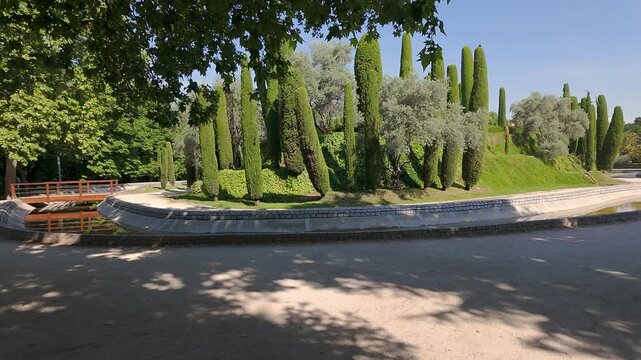Forest of Remembrance with pruned cypresses rising to the sky in Madrid's Retiro Park.