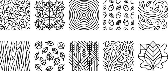 Autumn Leaf Patterns in Clean Line Art Style with Natural Elements and Organic Shapes © Mdjillur