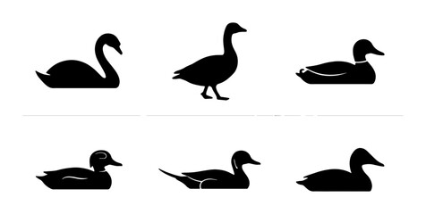 Fototapeta premium Bird icon set featuring swan, goose, and duck outline, solid and color styles on white background