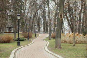 Obraz premium A winding cobblestone walkway meanders through an autumn park with bare trees, black vintage lampposts, and a soft overcast sky, creating a serene atmosphere for peaceful strolls