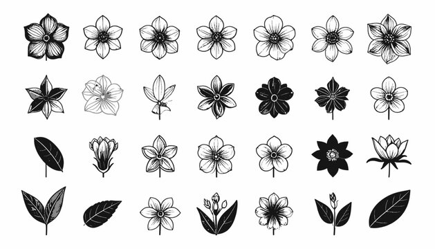 Feedio_Vector_Success_Feedio_minimalist black and white flower icon of aromatherapy flower set clean vector line art isolated on white bac_1929c.