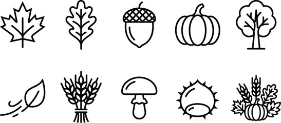 Autumnal icons with maple leaf oak acorn pumpkin tree blowing leaf wheat sheaf mushroom chestnut and harvest © Mdjillur
