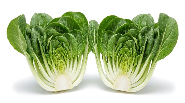 Two halves of fresh organic bok choy vegetable isolated on white background.