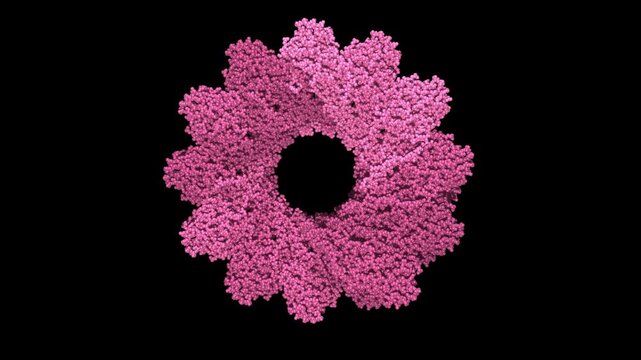A seamless loop animation of Measles Virus nucleocapsid-like particles (NCLPs) bound to RNA, Cryo-EM 3D structure highly contagious airborne pathogen, respiratory droplet transmission.