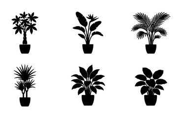 Obraz premium 6 Potted Plant Silhouettes, Silhouette, for Interior Design and Decoration