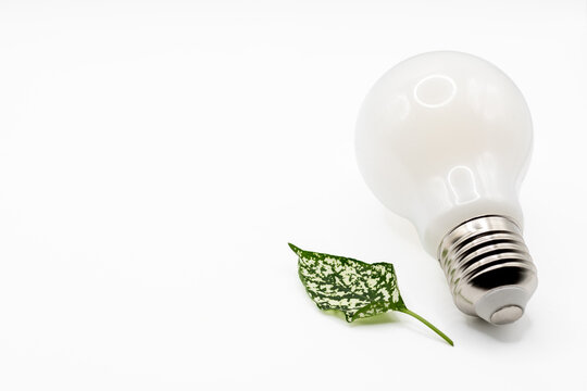 Gros plan d'une ampoule LED moderne accompagn&eacute;e d'une feuille verte sur fond blanc. Concept d'&eacute;nergie renouvelable, de d&eacute;veloppement durable, d'&eacute;cologie, d'efficacit&eacute; &eacute;nerg&eacute;tique et de protection de l