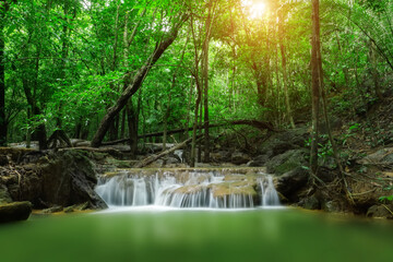 Small Waterfall in Tropical Green Forest with Sunlight © CreativeMindsStudio