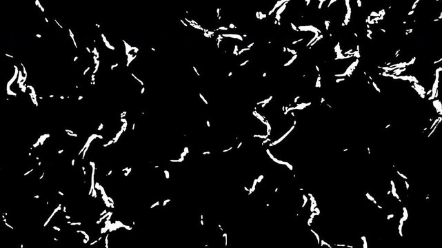 Abstract black and white pattern with scattered flowing streaks, creating contrast, movement, and texture.