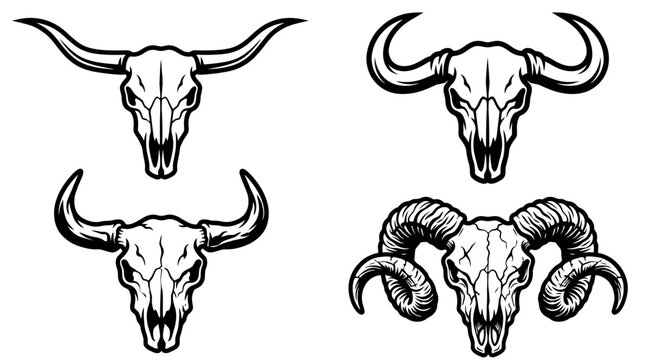 Set of Four Animal Skulls Vector Illustration - Bull, Ram