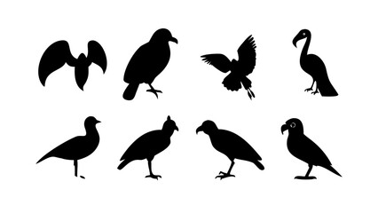 Fototapeta premium silhouettes of birds