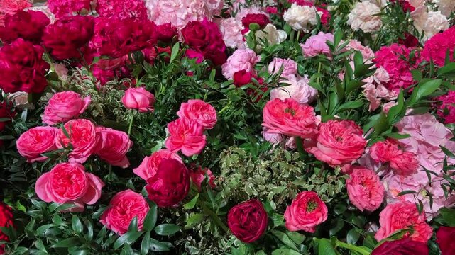 Macro close up of fresh wedding flowers in bright sunlight featuring red roses, peonies, garden roses and lush greenery. Elegant floral arrangements prepared for luxury wedding decor.