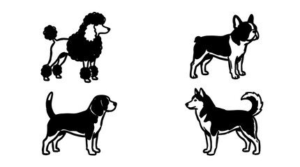 Four Dog Breeds Silhouettes: Poodle, French Bulldog, Beagle, Husky © Swtiawan