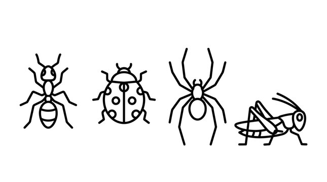 Simple Insect Icons: Ant, Ladybug, Spider, Grasshopper Line Art