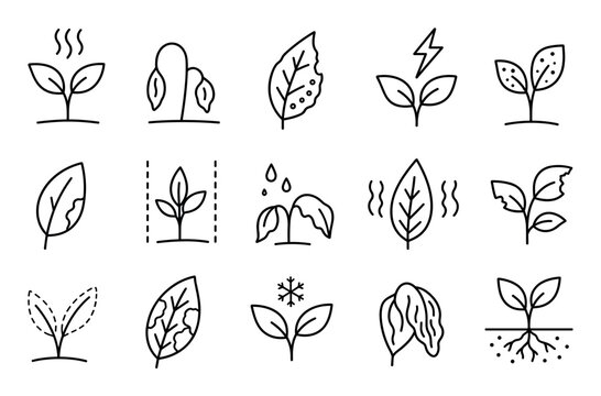 Plant stress and disease line icons set representing crop damage from drought heat frost pests and environmental factors for agriculture
