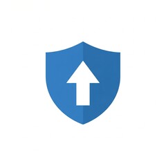 Fototapeta premium 2D Flat Design Security Growth Shield Icon