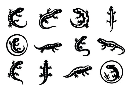 Lizard and salamander black silhouette icon set featuring various gecko and newt designs for logos and graphic elements