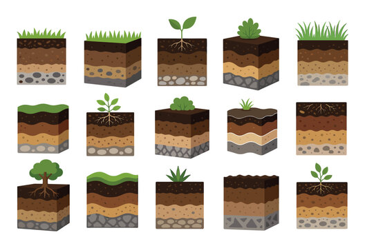 Soil layer cross sections with green plants, grass, and trees showing different geological strata of earth ground, topsoil, subsoil, and bedrock in a flat vector illustration set