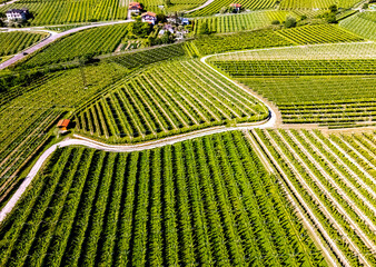 Fototapeta premium Agricultural landscape near the town of Dro in Trentino, Italy
