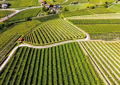 Agricultural landscape near the town of Dro in Trentino, Italy
