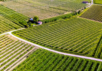 Fototapeta premium Agricultural landscape near the town of Dro in Trentino, Italy