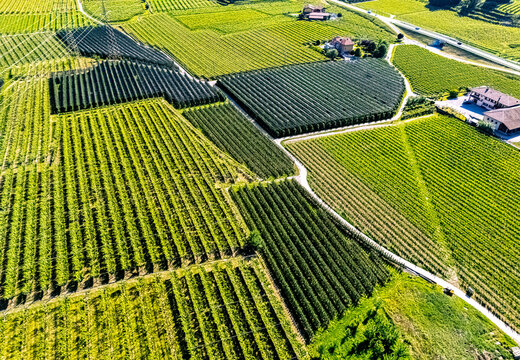 Agricultural landscape near the town of Dro in Trentino, Italy