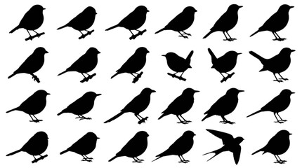Fototapeta premium Black birds flying in different directions