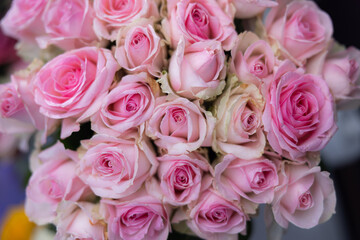 Fototapeta premium Pink roses bouquet featuring multiple blooms with soft petals and green foliage, arranged beautifully for decoration or gifting purposes
