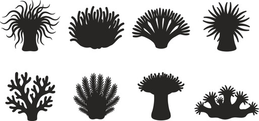 Vector silhouettes of sea anemones marine coral reef polyps and underwater aquatic wildlife species set © MdBabul