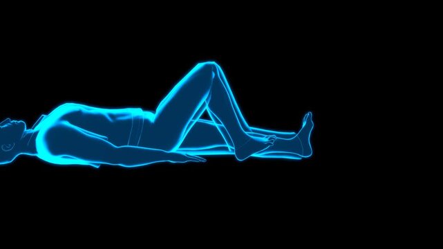 3D Human Model Supine Knee Extension Exercise 180 Rot Turntable Hologram