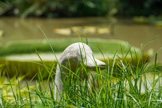 Stone duck statue peeking through lush green grass near a pond