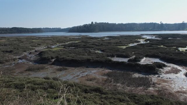 Slow panoramic shot of the Auray River in Morbihan, Brittany, capturing the scenic tidal marshes, mudflats, and surrounding forest landscape under a clear winter sky.