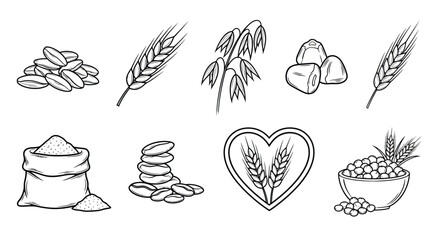 Set of hand drawn agricultural cereal grain icons including wheat ears oat stalks barley seeds and flour sack isolated on white for healthy organic design. © Shamim