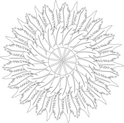 Obraz premium Mandala adult coloring page feather leaves garden floral