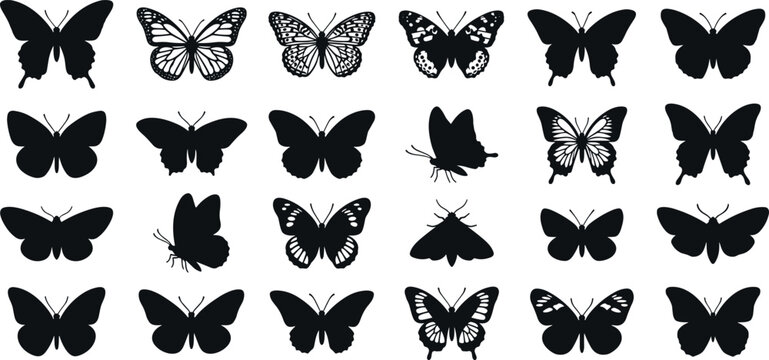Butterfly silhouette vector illustration set with twenty four different beautiful moths and butterflies isolated on white background for spring nature design