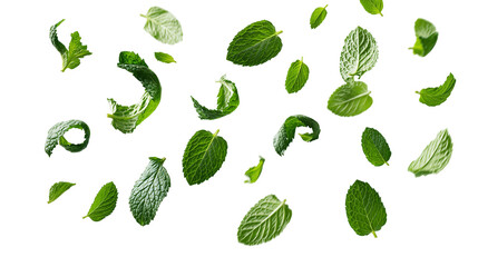 Scattered fresh green mint leaves in motion © Patricia
