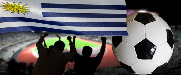 cheering football supporters and Argentina flag © Melinda Nagy