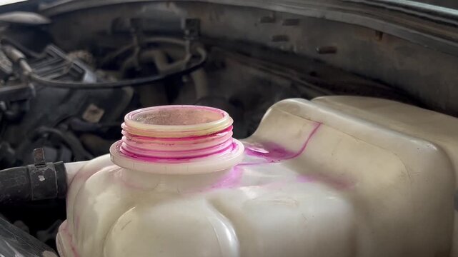 Automotive Coolant Tank Inspection Under Car Hood