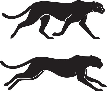 Tigher  silhouette, black vector icon.