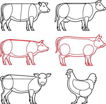 Diagrams of various livestock animals with their specific butcher cuts highlighted for food industry and cooking