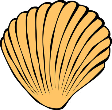 Vintage Sea Shell Graphic Illustration