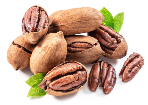 Pecan nuts with open pecans isolated on a white background, representing organic healthy food and natural ingredients. Clipping path