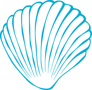 Vintage Sea Shell Graphic Illustration