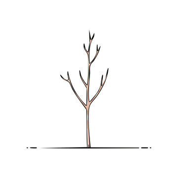 Minimalist hand drawn bare tree silhouette against a clean backdrop representing winter or dormancy