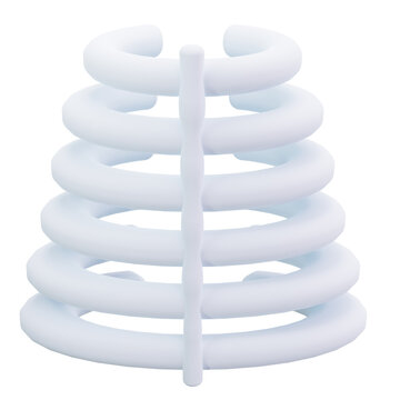 rib cage