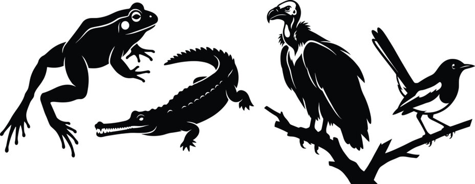 Frog crocodile vulture magpie silhouette, diverse animal illustration set