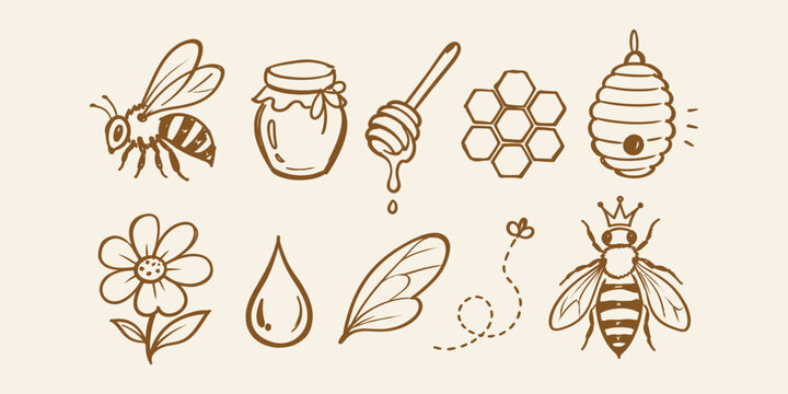 honey bee elements and sweet honey organic doodle icon set with jar dipper honeycomb hive queen bee and flower vector illustration