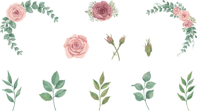 Watercolor pink rose floral set featuring blooming flower heads eucalyptus leaf arrangements rosebuds and green foliage branches isolated on white background vector illustration