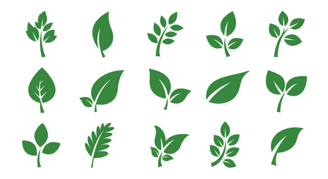 Green leaves shapes line icon web vector collection.