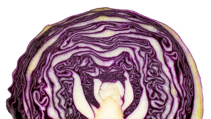 Obraz premium Isolated fresh vibrant red cabbage cross-section showing intricate leaf layers and healthy food
