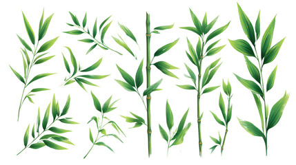 Fototapeta premium Vibrant Green Bamboo Leaves on Transparent Background for Nature Art Botanical Illustration Digital Drawing